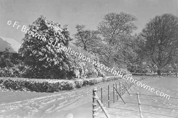 RATHFARNHAM CASTLE GROUNDS IN THE SNOW